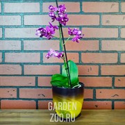 Горшок № 3 краш алебастр желто-фиолетовый d14.5 - фото 11298