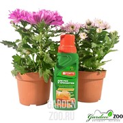 Удобрение БОНА ФОРТЕ для роз и хризантем 285мл красота - фото 11465