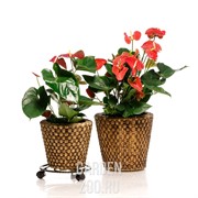 Подставка для цветов напольная на колёсиках диаметр 30см 12-003 - фото 11576