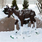 Фигура Олениха садовая U07666 - фото 11597