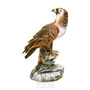 Фигура Беркут - фото 11603