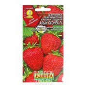 Земляника Алый огонек F1 ремонтантная - фото 11834 Земляника Алый огонек F1 ремонтантная - фото 11834
