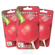 Редька Северянка - фото 12034