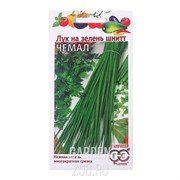 Лук на зелень шнитт Чемал 0,5г - фото 12088