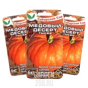 Тыква Медовый десерт 5 шт - фото 12115