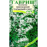 Клематис манчжурский Таежный снег 0,05г - фото 12238