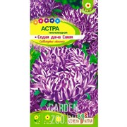 Астра Седая Дама синяя 0,2гр - фото 12526