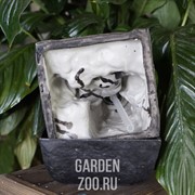 Фонтан настольный с подсветкой Лягушки с шаром Грин Эпл - фото 12614