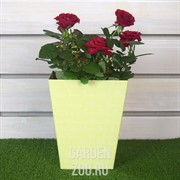 Коробка для цветов крафт 12,5*18*22,5 - фото 12637