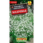 Гипсофила Махровая многолетняя - фото 13010