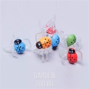 Клипсы Листок для орхидей Божья коровка 6шт - фото 13111