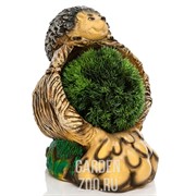 Кашпо Ежик на корзине - фото 13216