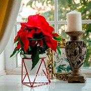 Подставка на 1 цветок Лофт на подоконник кованая красная 66-601 Red - фото 13471