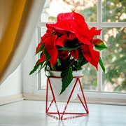 Подставка на 1 цветок Лофт на подоконник кованая красная 66-601 Red - фото 13472