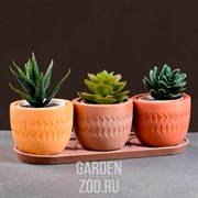 Набор ЭТНО 3 шт 0,18л - фото 13616