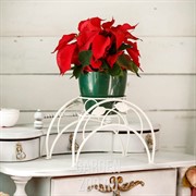 Подставка кованая 14-901 на 1 цветок - фото 14002