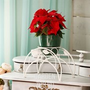 Подставка кованая 14-901 на 1 цветок - фото 14003