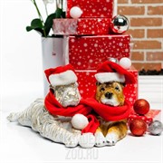 Фигура Шарпей - фото 14034