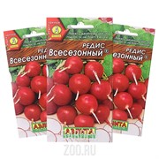 Редис Всесезонный - фото 14144