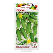 Огурец Конни F1 0.3г - фото 14201 Огурец Конни F1 0.3г - фото 14201