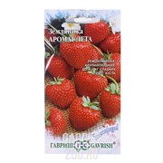 Земляника Аромат лета 4шт - фото 14348