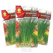 Лук шнитт Витаминный сноп - фото 14606