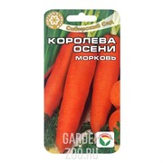 Морковь Королева Осени - фото 14946