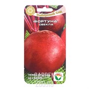 Свекла Фортуна - фото 14975