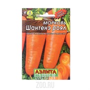 Морковь Шантане Роял Лидер - фото 15051