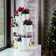 Подставка на подоконник на 8 цветов бело-золотая металл 14-908WG - фото 15074