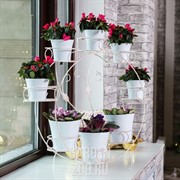 Подставка на подоконник на 8 цветов бело-золотая металл 14-908WG - фото 15075