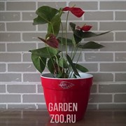 Горшок Асти 12л красный-белый - фото 15418