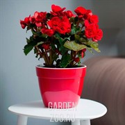 Горшок Асти 2,5л красный-белый - фото 15429