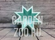 Коробка Звезда - фото 15925