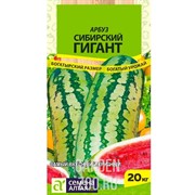 Арбуз Сибирский гигант 1гр - фото 15931 Арбуз Сибирский гигант 1гр - фото 15931