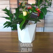 Кашпо Пазл 1л - фото 16894