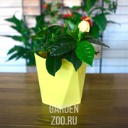 Кашпо Пазл 1л - фото 16895