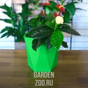 Кашпо Пазл 1л - фото 16896