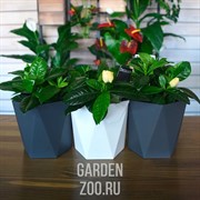 Кашпо Пазл 1л - фото 16898