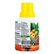 Удобрение ДЖОЙ для кактусов и суккулентов 0,25л - фото 16921