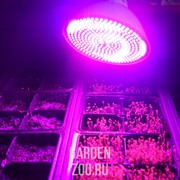 Лампа для растений Весна 40 Вт - фото 16998 Лампа для растений Весна 40 Вт - фото 16998