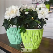 Кашпо Вдохновение 2,25л фисташковый - фото 17014