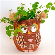 Кашпо СОВА 11*12*14см - фото 17402
