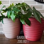 Кашпо САХАРА петит 26,5*24,5*9,7 марсала с подставкой - фото 17411