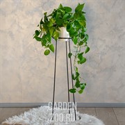 Подставка для цветов металлическая Лофт 66-403 - фото 17456