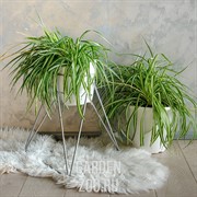 Подставка напольная Лофт для цветов металл высота 46см 66-420 - фото 17462