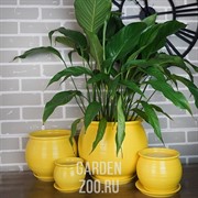 Кашпо Радуга №1 с подставкой - фото 17517