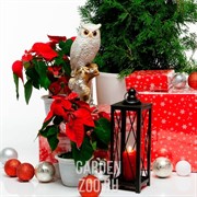 Фигура Филин на ветке белый с золотом F01243-WG - фото 17584