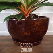 Горшки для цветов КАМЕЛИЯ №2 - фото 17929