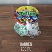 Грунт стеклянный №96 10шт морские звезды цветные - фото 17957